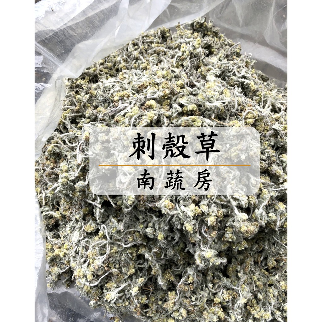 南蔬房鼠麴草刺殼草草仔粿原料曬乾 蝦皮購物