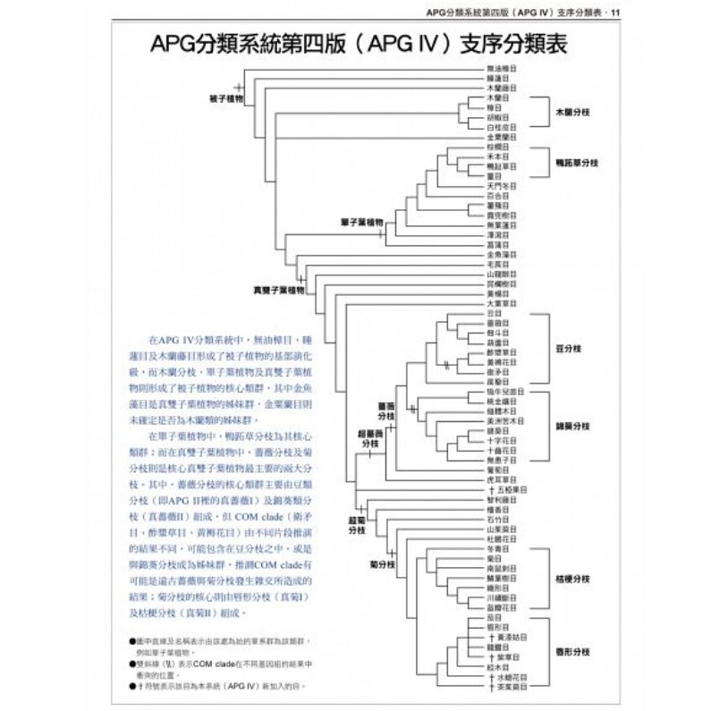 台灣原生植物全圖鑑第一卷 蘇鐵科 蘭科 1 7卷台灣原生植物全圖鑑第七卷 苦苣苔科 忍冬科 蝦皮購物