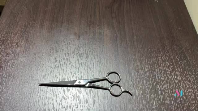SUNDEN 高級不鏽鋼理髮剪刀 20802 /髮剪【官方旗艦館】