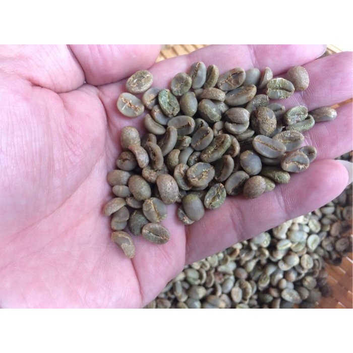 新鮮當季 台灣北大武山 ． 蜜處理/水洗處理 ． 咖啡生豆