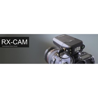 造韻樂器音響- JU-MUSIC - 全新 RODE Link RX-CAM Receiver 無線接收器 相機用