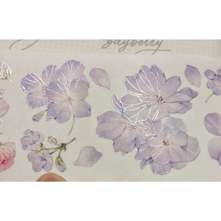 分裝 止域工作室漫花庭亮面pet 蝦皮購物