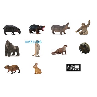 collectA 英國高擬真模型 侏儒河馬 小河馬 河馬 樹懶 大猩猩 狐獴 水獺 刺蝟 水豚 兔子 熊貓 北極熊