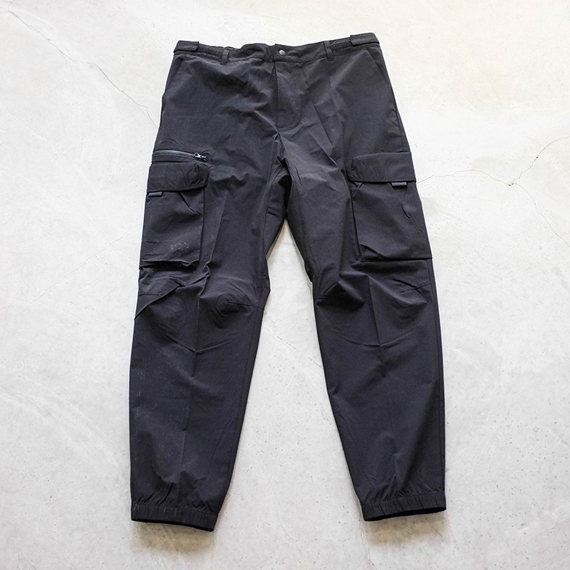 carhartt wip hayes pant