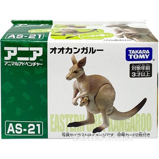 【HAHA小站】AN17970 正版 日本 多美 AS-21 袋鼠 探索動物 多美動物 動物模型 可動 模型 生日 禮物