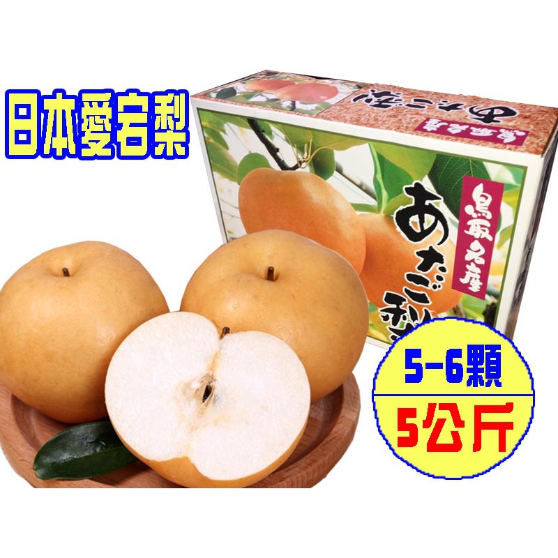 坤田水果 日本鳥取縣愛宕梨單箱5公斤5 6顆 蝦皮購物