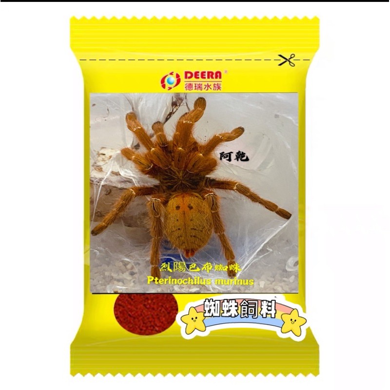 阿乾 烈陽巴布 Pterinochilus murinus 飼料