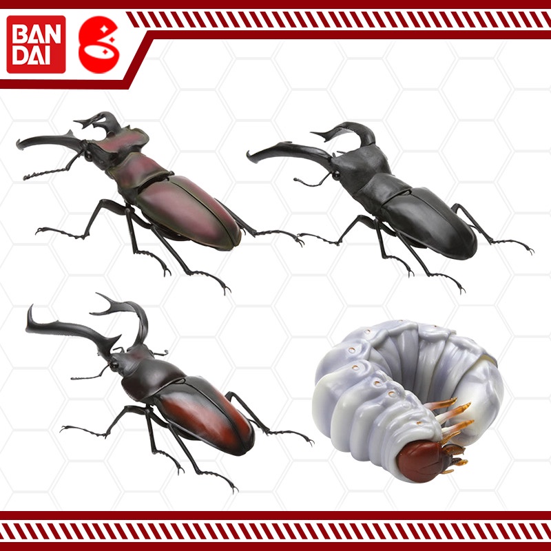 萬代扭蛋生物大圖鑑仿真生物系列鍬形蟲甲蟲第二彈02可動昆蟲模型