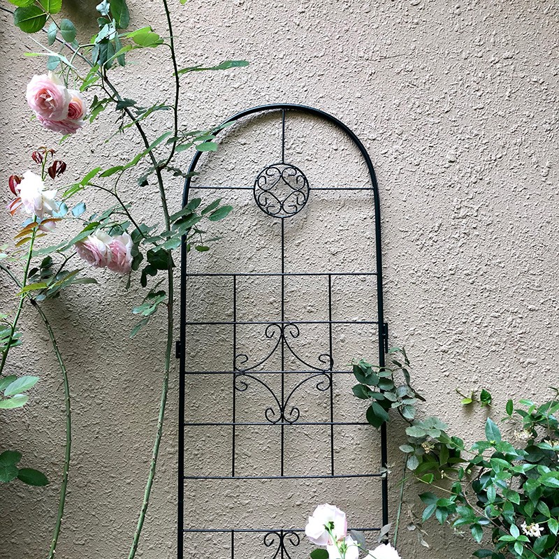 溫室花棚架 米蔻庭院花園鐵線蓮歐月鐵藝爬藤架花片屏風花幕花插圍欄2片包郵 蝦皮購物