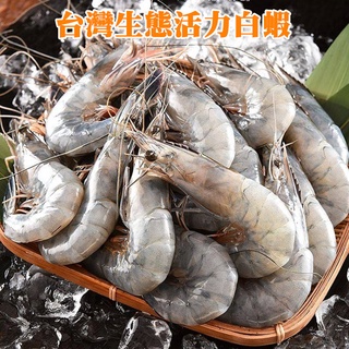 台灣生態活力白蝦250g +-10%/盒《喬大海鮮屋》