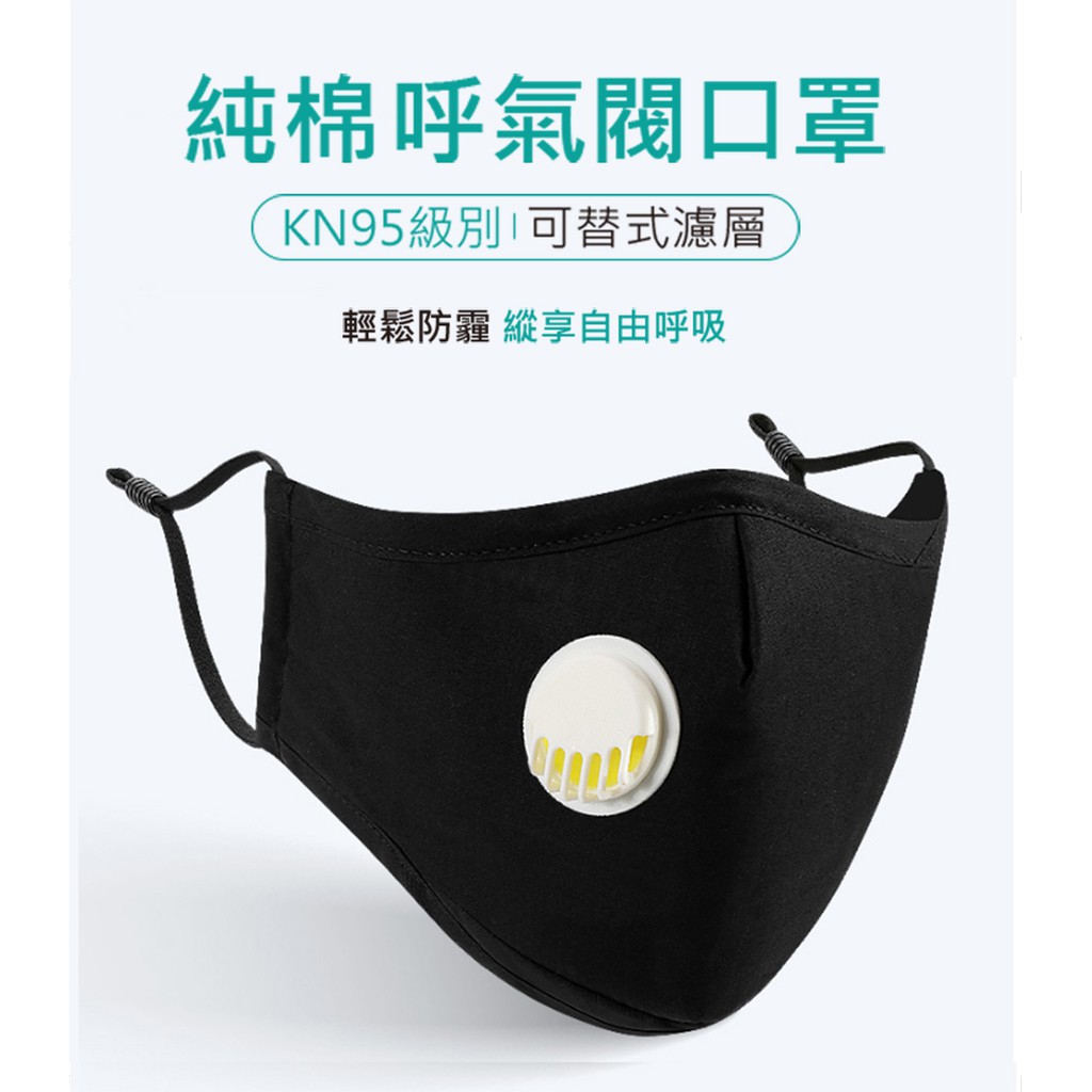 KN95級 可替式 濾器閥口罩 棉口罩 防PM2.5 霧霾 抗疫 1口罩+5過濾片