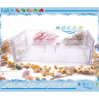 【魚店亂亂賣】新型抽屜式上部過濾滴流盒(便當盒)29.5*17*9.5cm方便清洗更換濾材滴流盒滴流便當盒