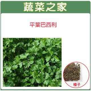 蔬菜之家滿額免運【00F16】大包裝.平葉巴西利種子30克(約12500顆)