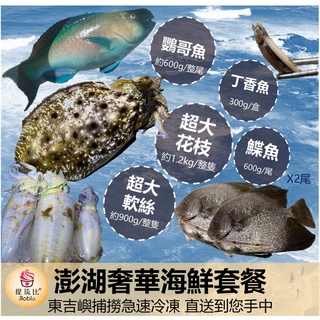 鸚哥魚- 優惠推薦- 2021年11月 蝦皮購物台灣