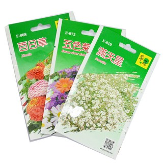 翠筠 花種子 種子 苗種子 雛菊 康乃馨 香雪球 千鳥草 勳章菊 西洋石竹 大花滿天星【FC410】