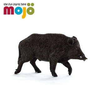mojo fun動物模型-野豬