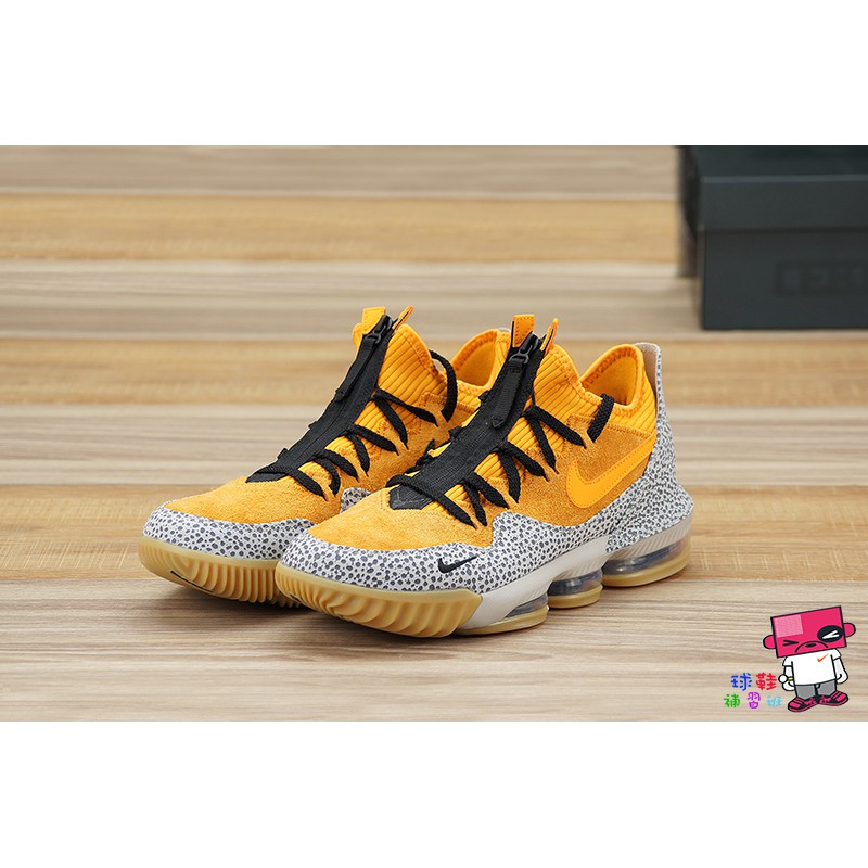 lebron safari 16