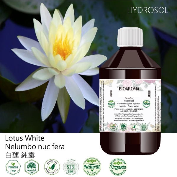 芳香療網 白蓮有機花水純露lotus White Nelumbo Nucifera 蝦皮購物