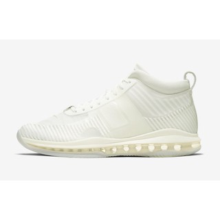 lebron icon white