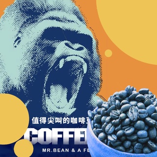 Mr.Bean Q Grader經典配方咖啡豆X CQI品質鑑定師操刀｜阿肥珈琲焙製所