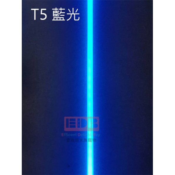 T5 39w/54w  燈管 增豔紅/海水藍/水草白/自然白/藍紫色