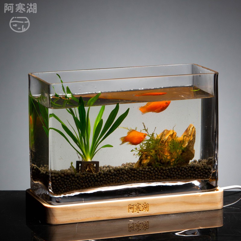 台灣金魚 拍賣 評價與ptt熱推商品 21年4月 飛比價格