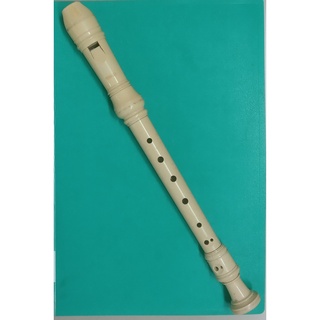 【貝琪二手商品】 「 小學生必備樂器－直笛（YAMAHA） 」／音樂／成長／勵志／智慧叢書