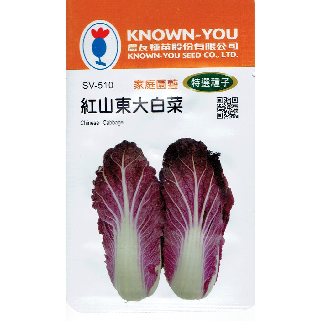 尋花趣 紅山東大白菜(Chinese Cabbage) sv-510 【蔬菜種子】 農友種苗特選種子 每包約30粒