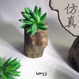 多肉 模擬多肉 微景觀 P72 假多肉植物 辦公室小物 療癒紓壓生日禮物拍照道具居家裝飾咖啡屋商店擺飾迷你木頭底座盆栽