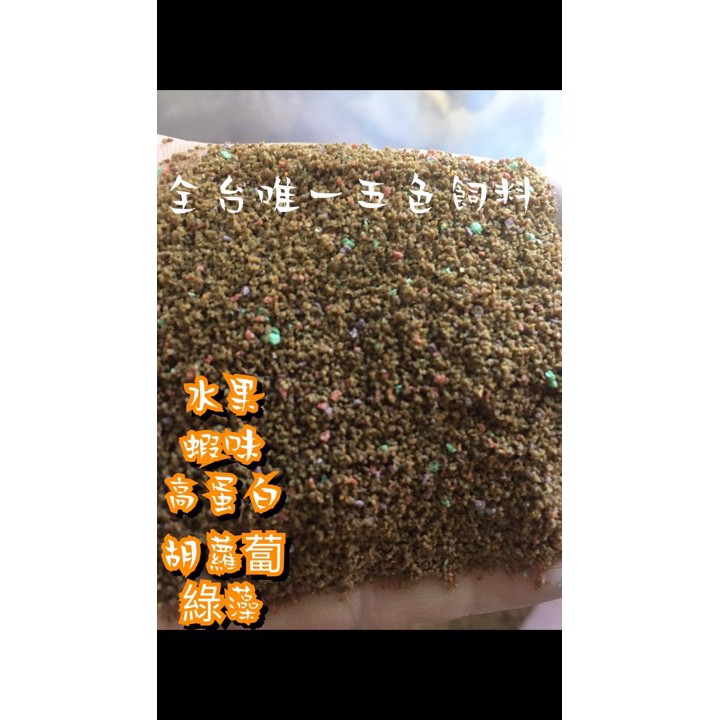 F JiueseAqua{孔雀魚五色飼料(袋装)} 魚飼料 孔雀魚飼料 小型魚飼料 黃金比例調配 出生3天小魚即可食用