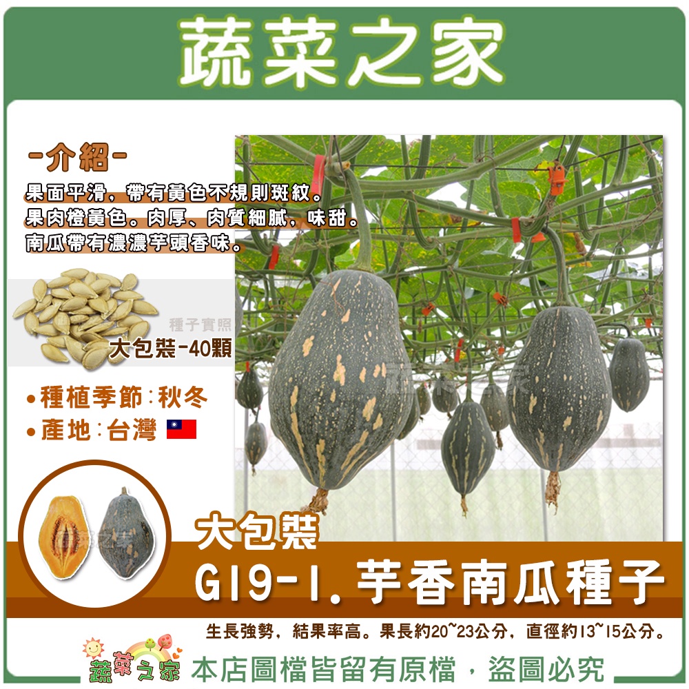 【蔬菜之家滿額免運】大包裝G19-1.芋香南瓜種子 40顆 //一代交配，生長強勢，結果率高。果長約20~23公分