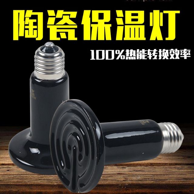 🔥台灣電壓110V適用🔥烏龜曬背燈 爬蟲燈夾 陶瓷燈泡 燈罩 保溫燈 取暖燈 加熱燈 烏龜澤龜陸龜燈具