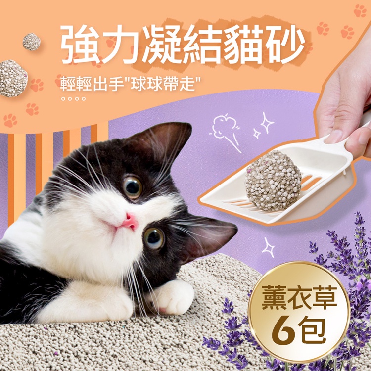 【毛孩王】強效除臭 強力凝結 貓砂5kgX6包(細砂/六種香味選)