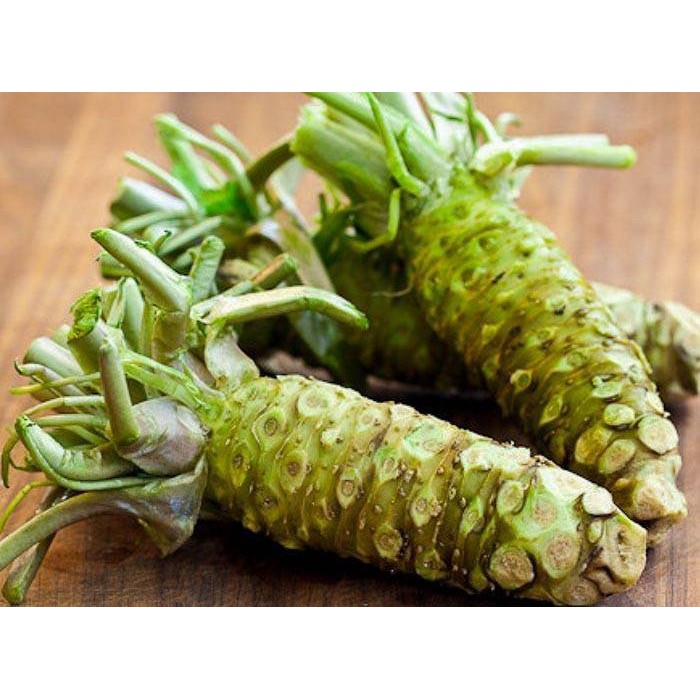 日本壽司芥末山葵種子30入 山葵苗 12月底有貨 M0040 蝦皮購物