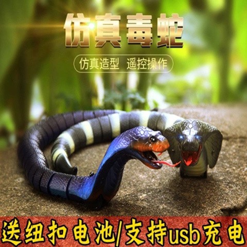 電動遙控仿真眼鏡蛇玩具男孩會動的蟲子電子蟑螂嚇人的高仿真蛇王