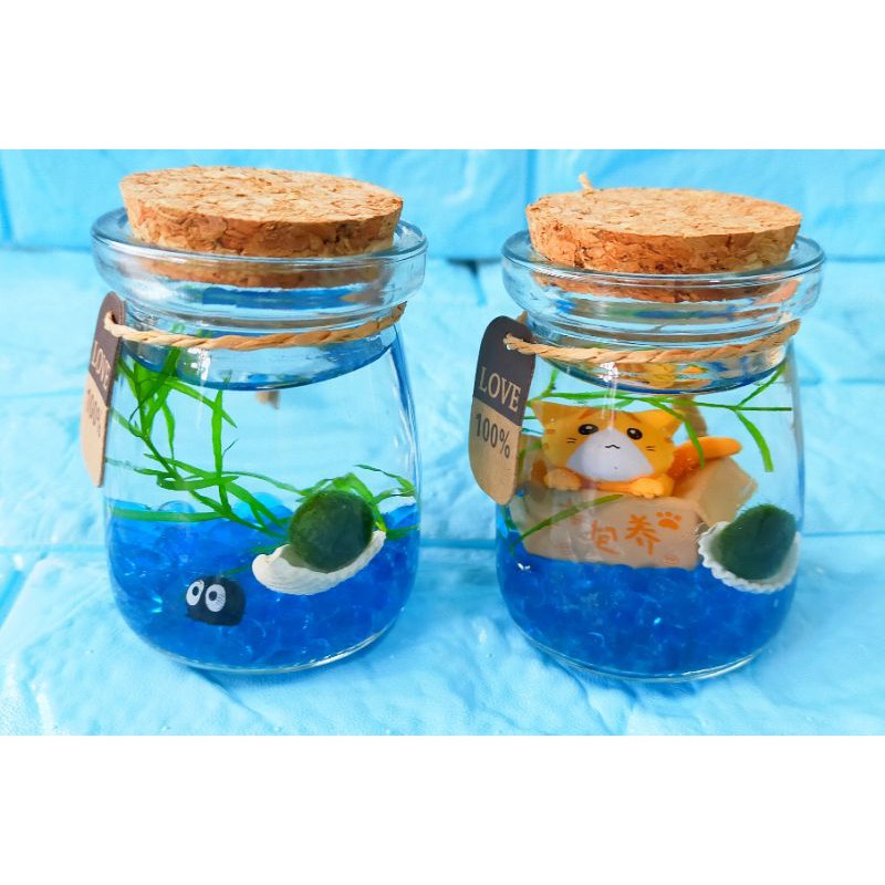 玻璃 親子diy 水草瓶生態瓶魚草共生辦公桌裝飾療癒小物綠球藻綠藻球瓶團體聖誕節交換禮物角落生物 蝦皮購物