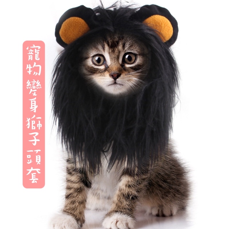 現貨🔜🚚 寵物變身獅子頭套 頭飾假髮帽#貓衣服#貓假髮#獅子頭套#寵物獅子頭套#寵物玩具#假髮#寵物假髮#獅子頭假髮