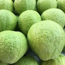 甘甜水果果物 果乾批發零售 代加工 線上商店 蝦皮購物