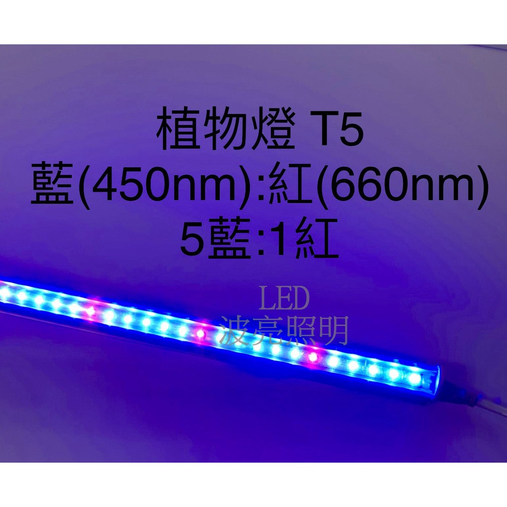 【台灣波亮照明】LED 植物燈 2尺 3尺 4尺 植物生長燈 增豔燈 全光譜(仿太陽光) 藍紅 紅藍 5:1 附串接線