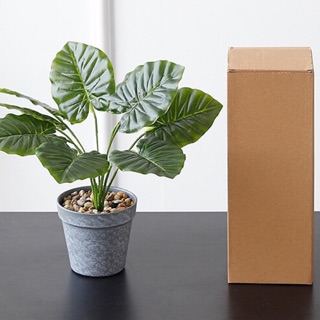 ❤️新品上市❤️假樹 假植物 綠色植物 ins北歐風模擬龜背葉植物盆栽 綠植葉子帶盆家居桌面裝飾品 桌上盆栽