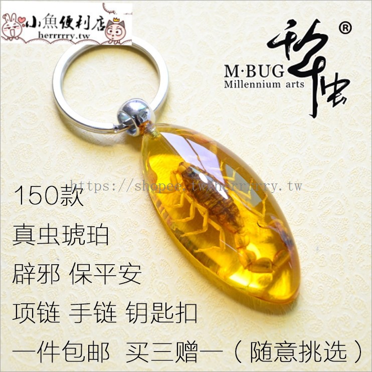 爆款熱賣昆蟲標本人工琥珀汽車鑰匙扣鑰匙掛件個性創意掛飾不銹鋼男腰掛 小魚便利店 蝦皮購物