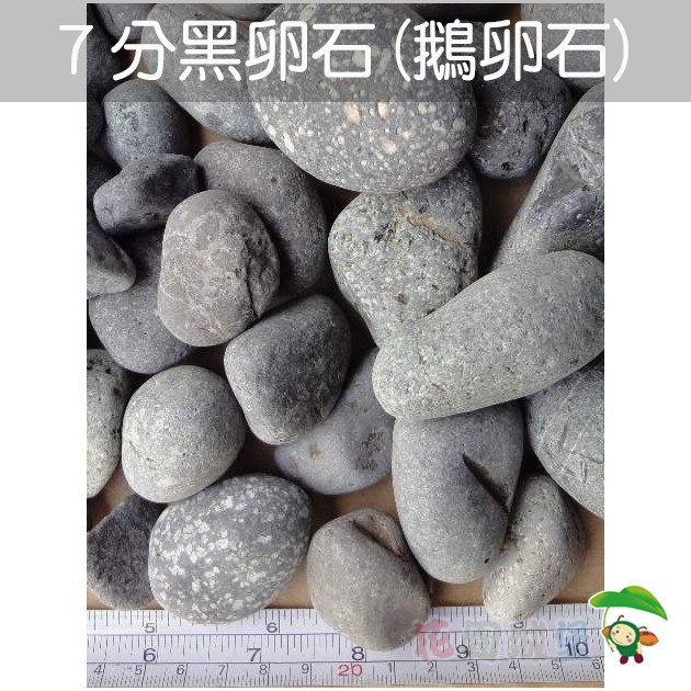 現貨 7分黑卵石 鵝卵石 約公斤景觀石材花盆裝飾 花園城堡 蝦皮購物