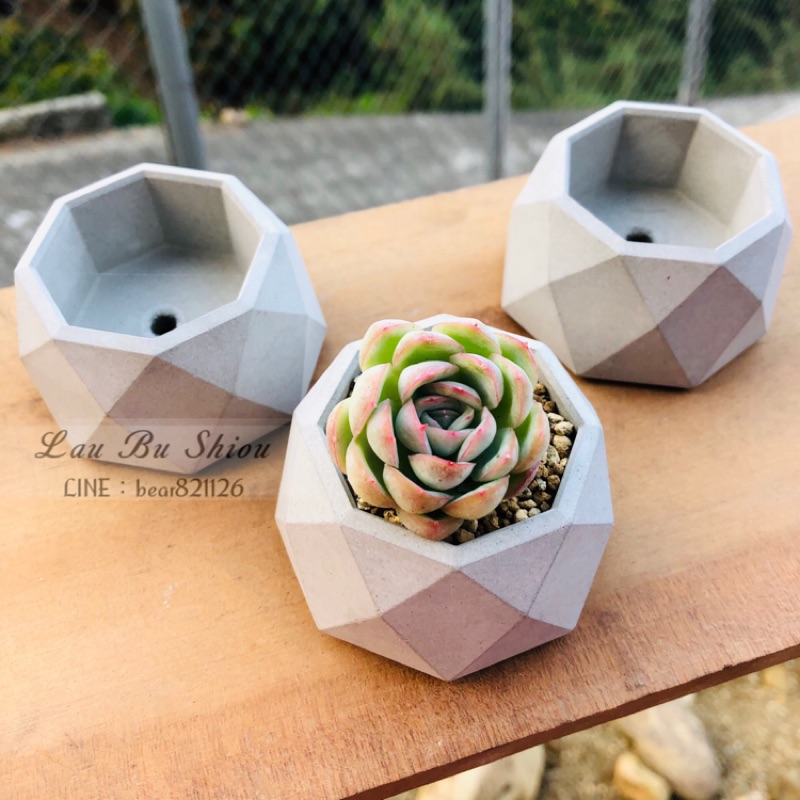 水泥盆栽多肉盆多角水泥盆多肉水泥花盆水泥花器盆器多肉盆栽仙人掌幾何圓形多肉植物盆栽 蝦皮購物