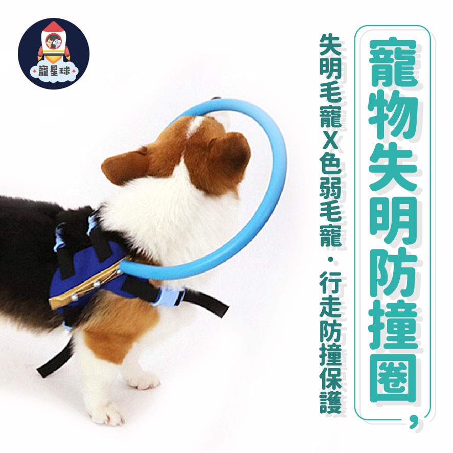 高仿錶 關注你他的招財 盲犬寵物安全帶 防撞環 老犬防撞 失明寵物安全項圈 防撞項圈 安全用品 失明狗狗 盲犬專用 I Ads Keyword 優惠推薦