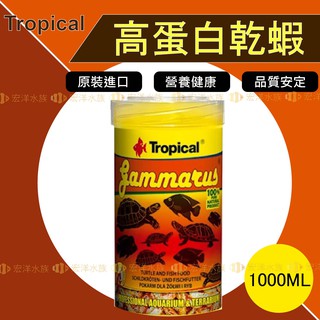 Tropical 德比克【高蛋白乾蝦-重量瓶1000ml】(水龜 烏龜 兩棲爬蟲 乾蝦飼料 魚飼料 蝦乾 乾燥蝦〝宏洋