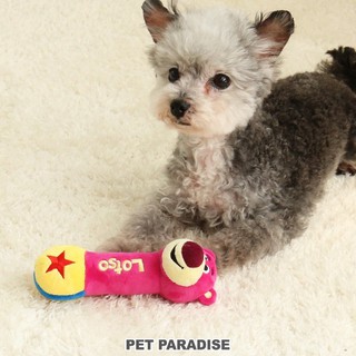 帕彼愛逗 日本 pet paradise 代理 DISNEY 可愛 熊抱哥 搖鈴玩具 [T2658]