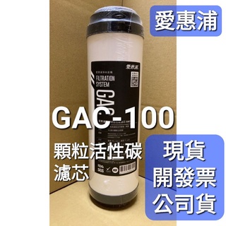 公司貨 愛惠浦 GAC-100 顆粒狀 活性碳 濾芯 濾心 GAC100 gac100 淨水器 ro機 通規 濾心