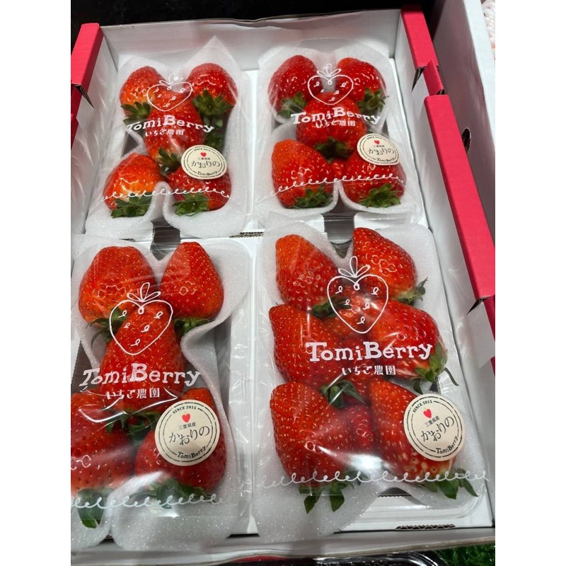 各式日本草莓蜜糖草莓菊池糖蜜草莓長崎糖蜜草莓古都華草莓淡雪草莓熊本熊草莓福岡草莓唐津草莓圓盒淡雪大妃美 蝦皮購物