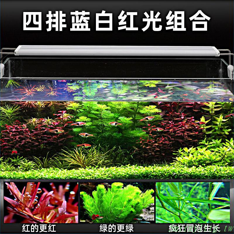 爆款 現貨魚缸節能燈led全光譜水草照明燈烏龜造景超亮增艷小型支架水草燈 蝦皮購物