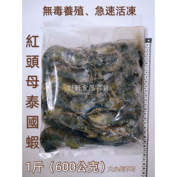 急速活凍『無毒養殖』紅頭母泰國蝦（1斤）【好軒】冷凍食品滿2千元免運